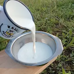 Сухой молочный напиток Леовит восстановленный