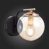 Бра Evoluce Literno SLE106901-01