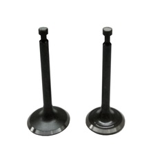 Клапаны (пара) G210FA,LC170FA/500550041-0001