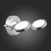Светильник настенно-потолочный ST Luce Gruppo SL576.101.02