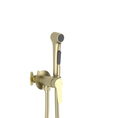 Aquatek AQ1719BG AQ1719BG ЛУГАНО комплект для гигиенического душа встроенный (смеситель + гигиеническая лейка + шланг), шлиф. золото фото