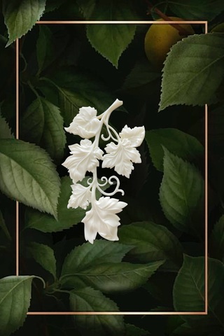 Отливка НШ 753 (16*9см)