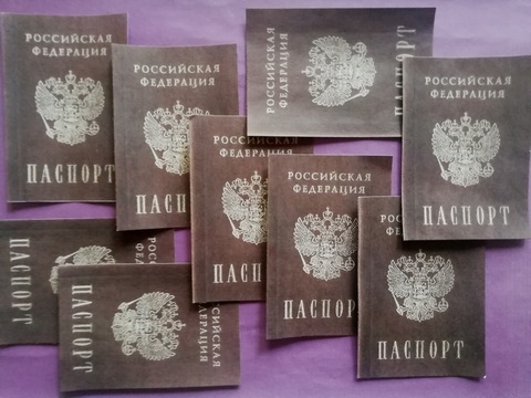 Вырезанные Сахарные Картинки для торта Паспорт (набор 9 шт, сахарная бумага)