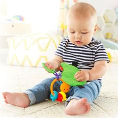 Fisher Price Прорезыватель 