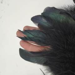 Тесьма  из перьев петуха h-15-18 см, черный (уценка)