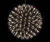 Люстра Raimond Sphere Chrome D43