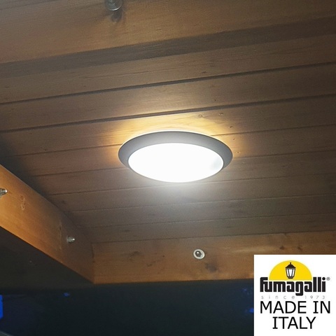 Уличный настенный светильник Fumagalli LUCIA 1R3.000.000.AYE27CL1