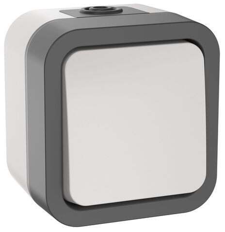 TORS Выключатель кнопочный 10А IP55 TS210 сер-бел IEK