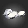Светильник настенно-потолочный ST Luce Gruppo SL576.101.02