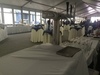 ролл-бар презентация ролл-бар презентация