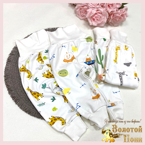 Штанишки евро-резинка (62-74) 240813-NW4538