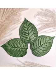 Молд пластиковый 