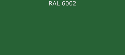 RAL6002