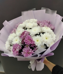 Букет хризантем Зембла 7 веток