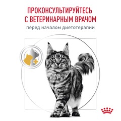 Royal Canin Urinary S/O Moderate Calorie сухой корм для кошек при лечении мочекаменной болезни 350 г