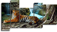 Модульная картина "Грация тигра"