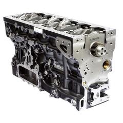 Блок двигателя / SHORT ENGINE АРТ: T400455
