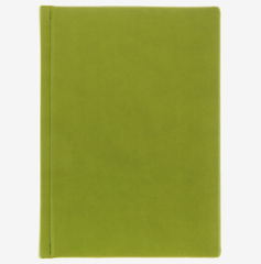 ЕЖЕДНЕВНИК А5. 160л. недатир. ГЛОСС оливковый (160-0669) перепл.кожзам