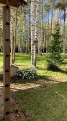 Дождевая цепь «Розы  малые», коричневый RAL8017