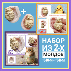 1540/41 Набор силиконовых молдов