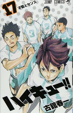 Haikyuu!! vol.17 (Japan Edition)