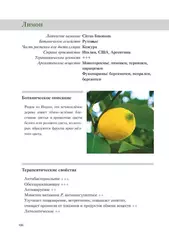 Доминик Боду 