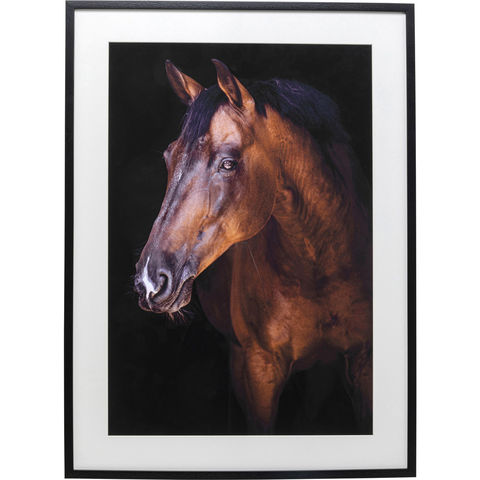 Картина в рамке Horse, коллекция 