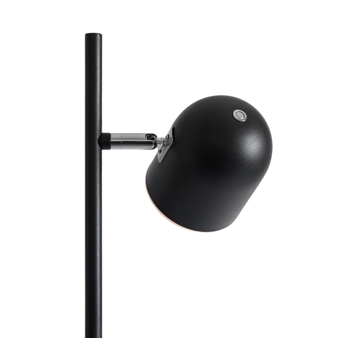 Торшер светодиодный  Freya Unique FR5279FL-L7B