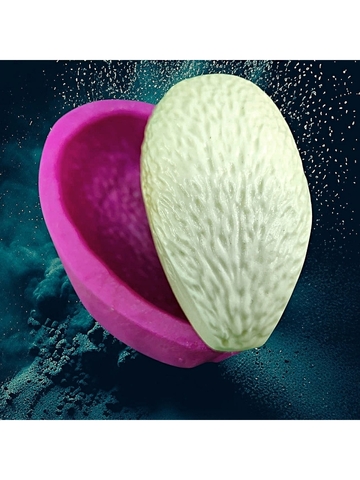 Молд пластиковый+вайнер силиконовый НП-6 лепесток пиона 7,6х4см