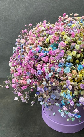 Коробка с радужной гипсофилой