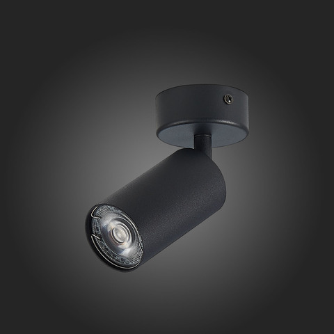Светильник потолочный ST Luce ST303.402.01