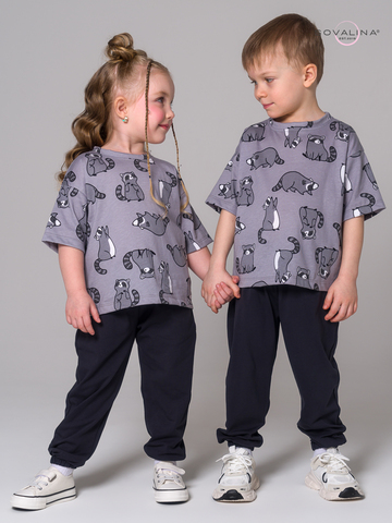 Костюм Daily men енотики серые-антрацит