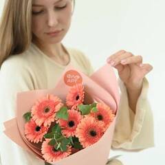 Красочные герберы