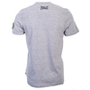 Футболка Everlast Premium Sports Grey