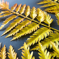 Папоротник осенний оранжевый, зелень искусственная, 60 см, набор 5 веток.