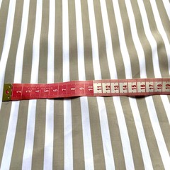 Итальянский хлопок в полоску для рубашки фото