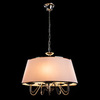 Люстра Arte Lamp Aurora A1150SP-5CC