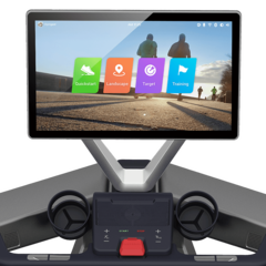 Беговая дорожка Koenigsmann X-TYPE