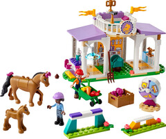 Конструктор LEGO Friends 41746 Тренировка лошадей