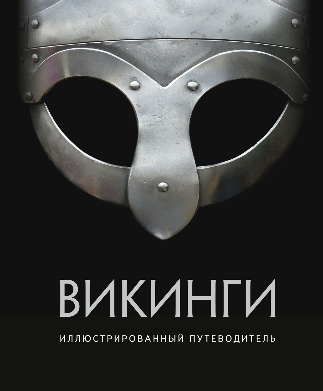 Викинги. Иллюстрированный путеводитель – купить за 650 руб | Чук и Гик.  Магазин комиксов