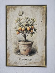 Двухшаговый кракелюр Фарфоровый крупный, 2х55мл., ProArt