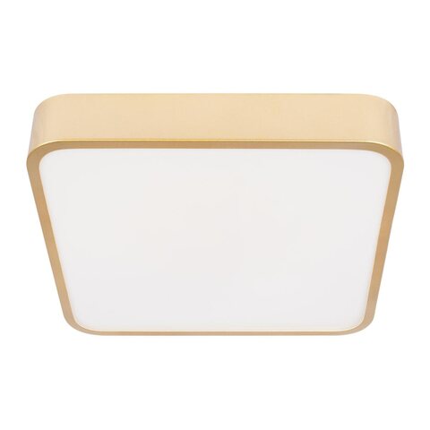 Потолочный светодиодный светильник Loft It Flims 10228/C