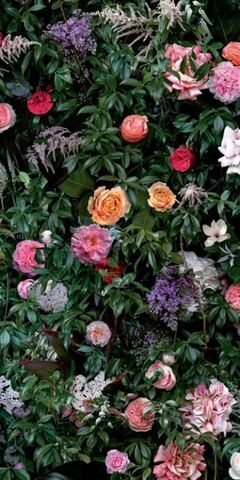 41zero42 Paper41 Lux William 60x120