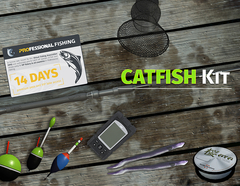 Professional Fishing: Catfish Kit (для ПК, цифровой код доступа)
