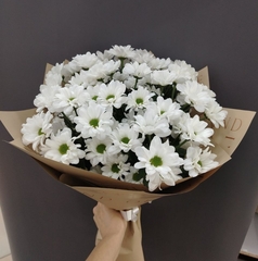 Белоснежка (7 хризантем)