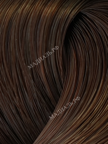 Schwarzkopf  IGORA ROYAL Крем-краска   6-68 Темный русый шоколадный красный 60 мл