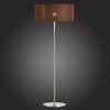 Торшер Evoluce Brescia SLE300595-01