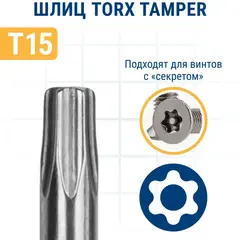 Бита отверточная ПРАКТИКА Профи Torx Tamper-15 х 50мм (2шт) (776-447)