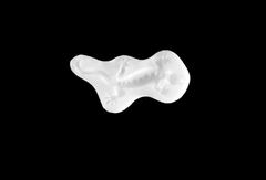 Силиконовый молд 