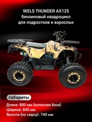 Подростковый бензиновый квадроцикл Wels AX125